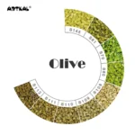 Paleta Colores Oliva
